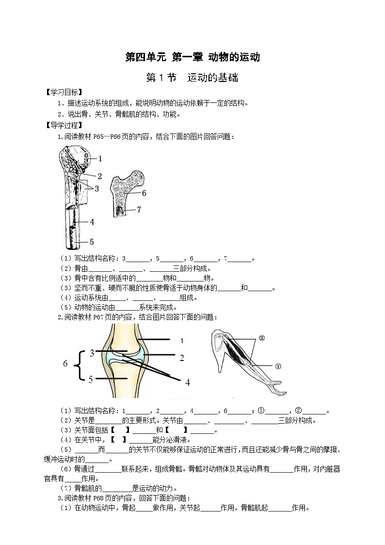 冀少版 初中生物 八年级上册 4.1.1运动的基础 （学案）01