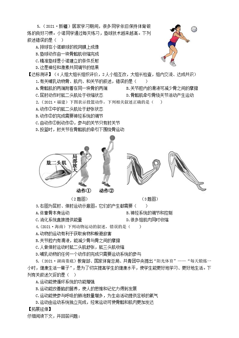 冀少版 初中生物 八年级上册 4.1.2运动的完成 （学案）第2页