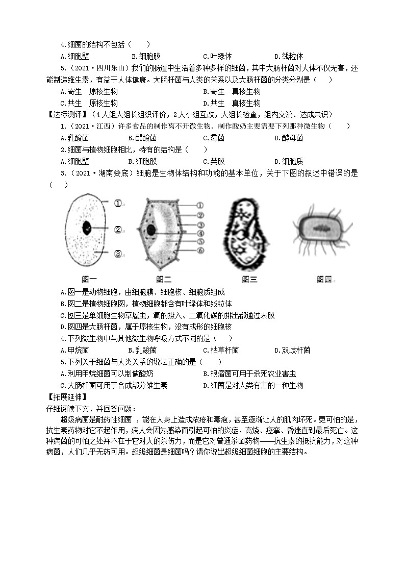 冀少版 初中生物 八年级上册 5.1.1细菌 （学案）02