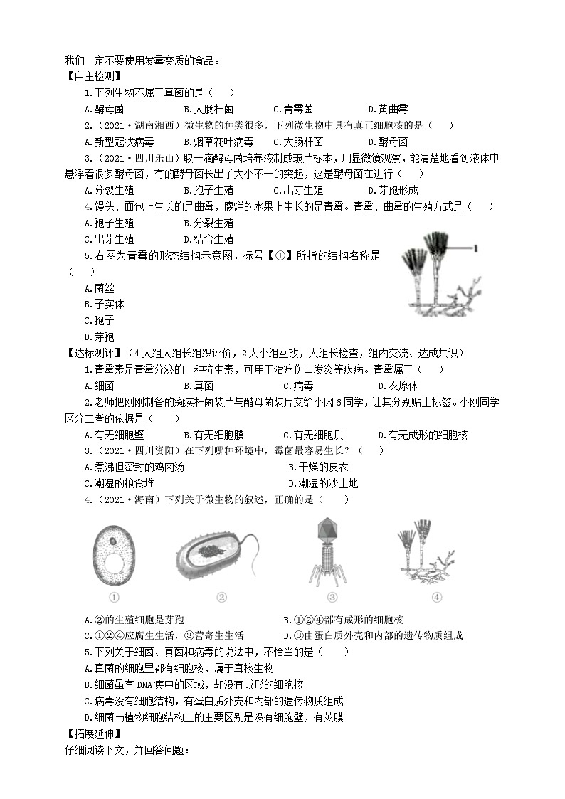 冀少版 初中生物 八年级上册 5.2.1酵母菌和霉菌 （学案）02
