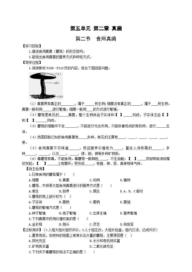 冀少版 初中生物 八年级上册 5.2.2食用真菌 （学案）01