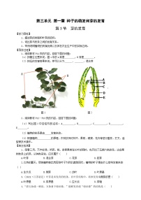 冀少版八年级上册第三单元  植物的生活第一章  种子的萌发和芽的发育第三节 芽的发育优秀测试题