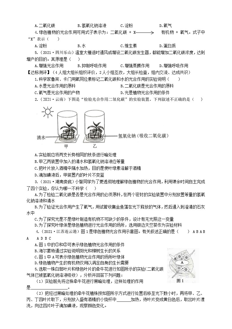 冀少版 生物八年级上册 3.3.2光合作用的原料 （同步学案）02