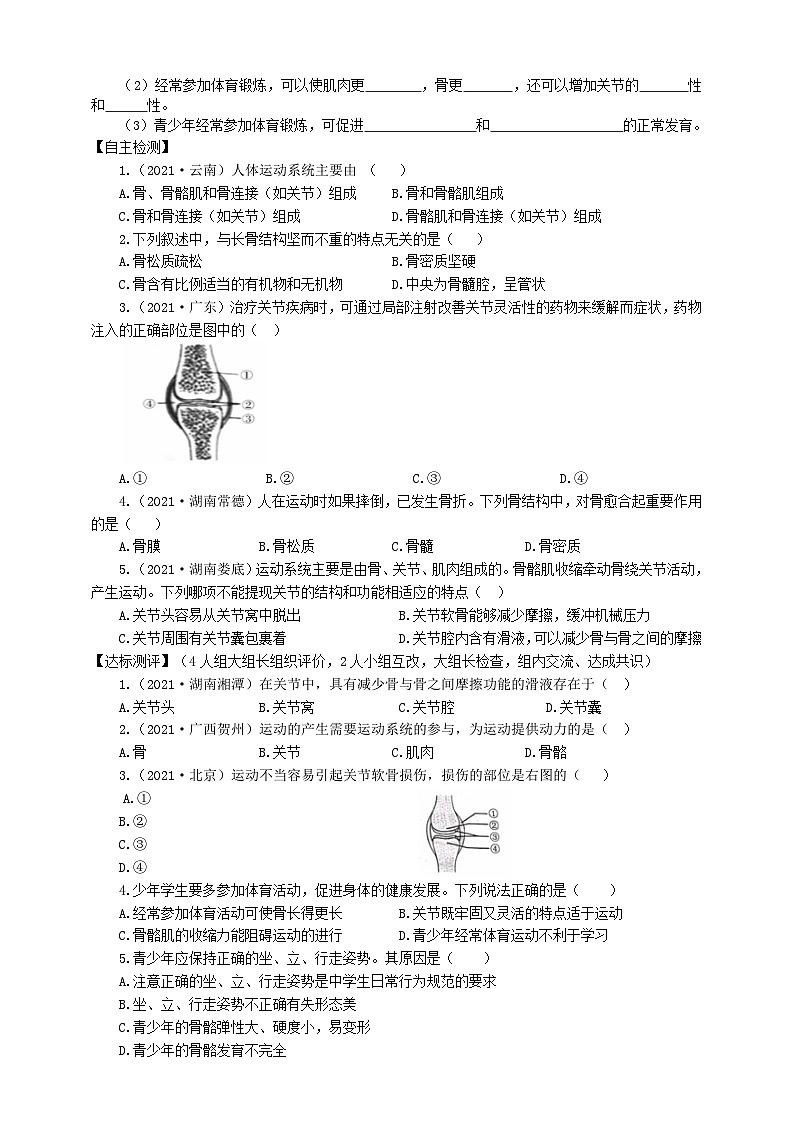 冀少版 生物八年级上册 4.1.1运动的基础 （同步学案）02