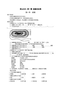 初中生物冀少版八年级上册第一节 细菌精品巩固练习