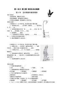 冀少版 生物七年级上册 1.3.4苔藓植物和蕨类植物