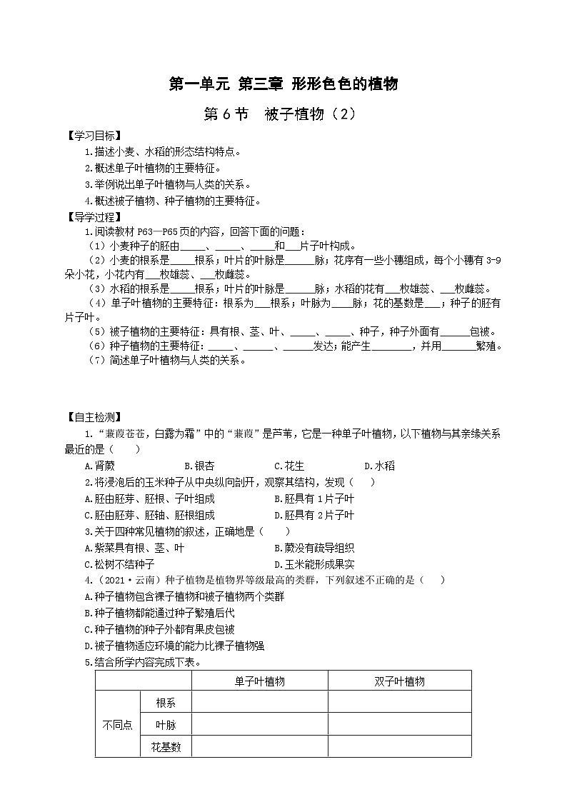 冀少版 生物七年级上册 1.3.6被子植物（2）（同步学案）01