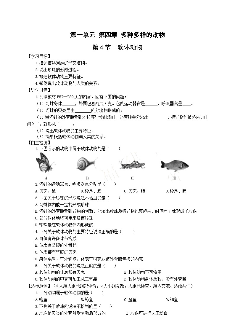 冀少版 生物七年级上册 1.4.4软体动物（同步学案）01