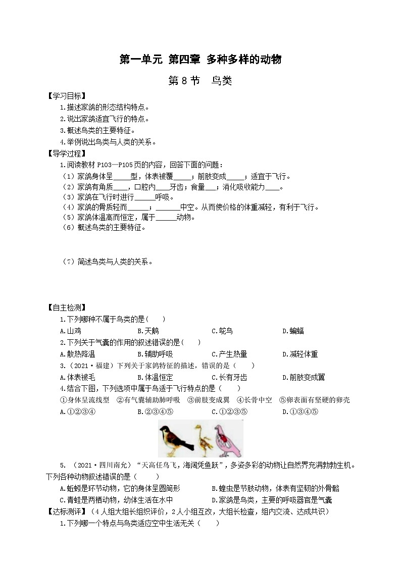 冀少版 生物七年级上册 1.4.8鸟类（同步学案）01