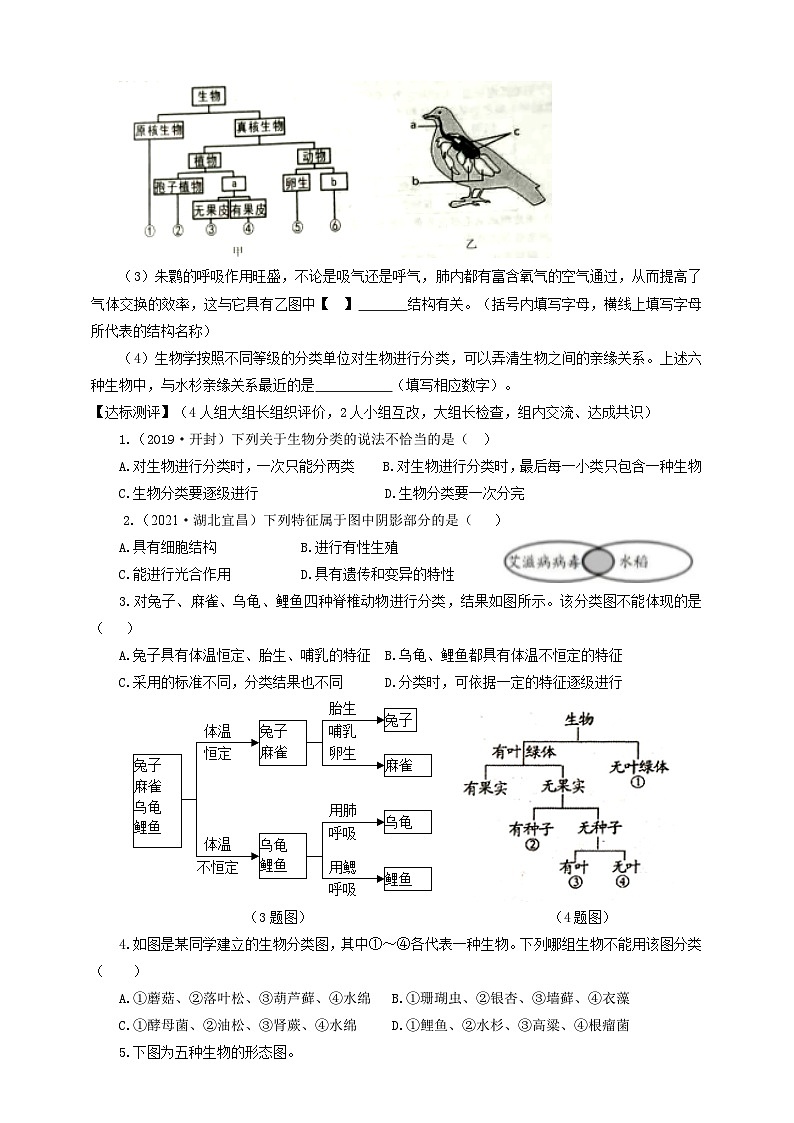 冀少版 生物七年级上册 1.5.1尝试对生物进行分类（（同步学案）02