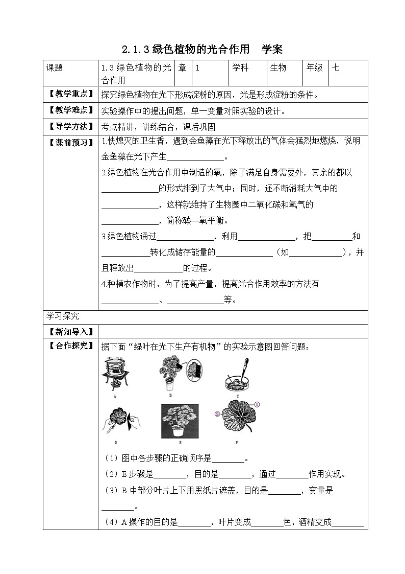 【济南版】生物 七年级上册 2.1.3 绿色植物的光合作用（含答案） 试卷01