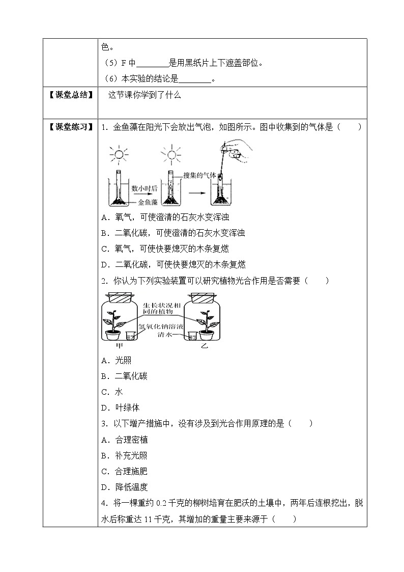【济南版】生物 七年级上册 2.1.3 绿色植物的光合作用（含答案） 试卷02
