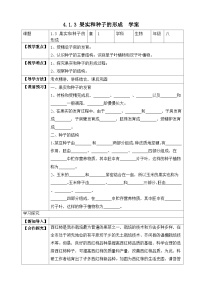 【济南版】生物 八年级上册 4.1.3 果实和种子的形成 同步学案 （含答案）