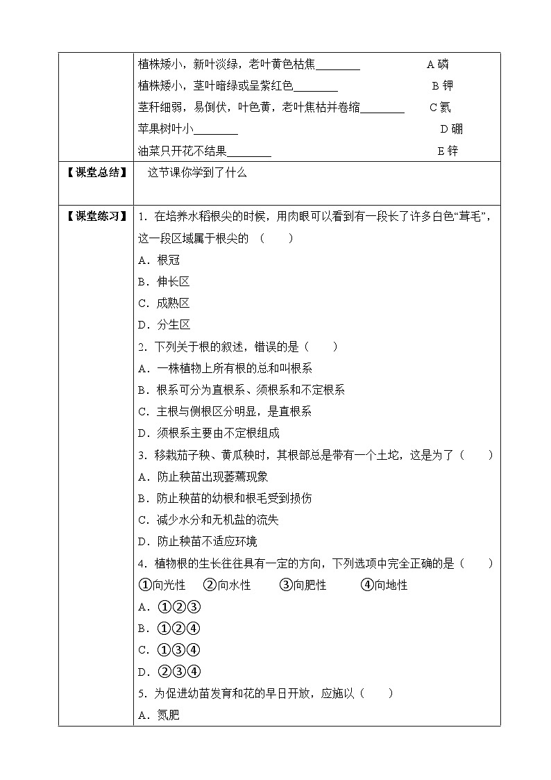 【济南版】生物 八年级上册 4.1.5 根的结构与功能  同步学案 （含答案）02