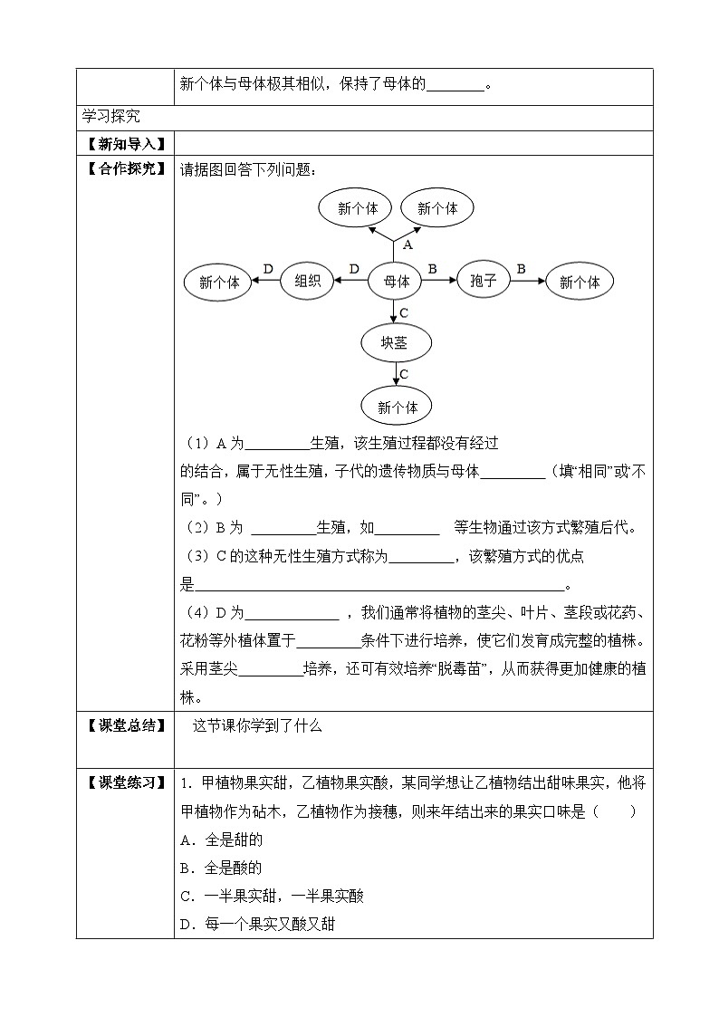 【济南版】生物 八年级上册 4.1.7 植物的无性生殖 同步学案 （含答案）第2页
