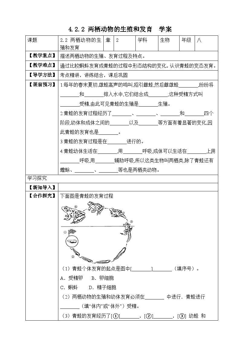 【济南版】生物 八年级上册 4.2.2 两栖动物的生殖和发育  同步学案 (含答案)01