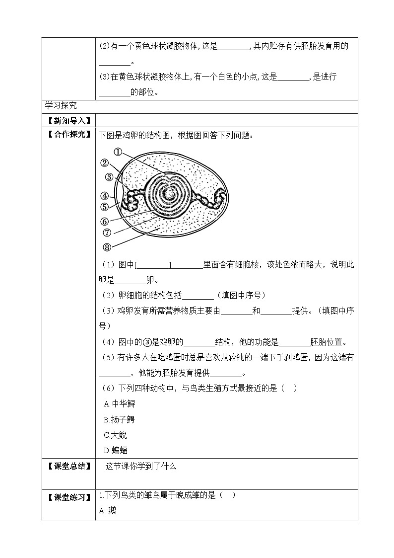 【济南版】生物 八年级上册 4.2.3 鸟的生殖和发育 同步学案 （含答案）02