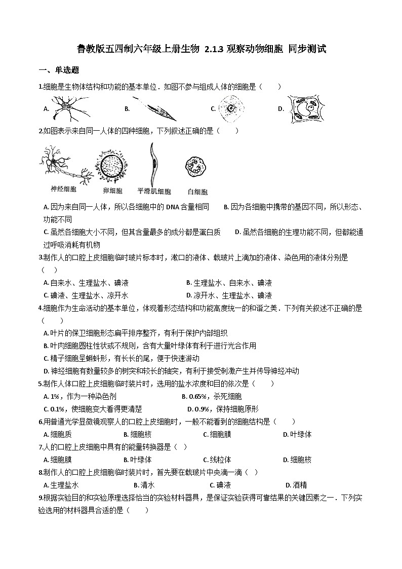 鲁教版（五四制）生物六年级上册 2.1.3 观察动物细胞 同步测试（含解析）第1页