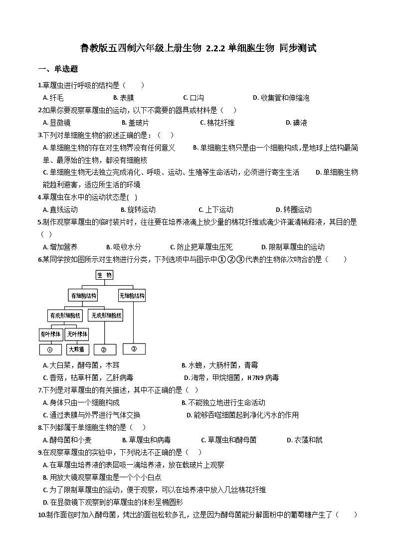鲁教版（五四制）生物六年级上册 2.2.2 单细胞生物 同步测试（含解析）01