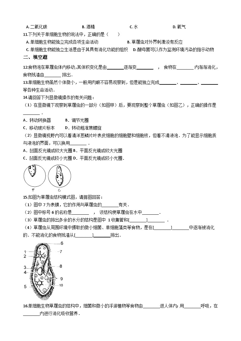 鲁教版（五四制）生物六年级上册 2.2.2 单细胞生物 同步测试（含解析）02