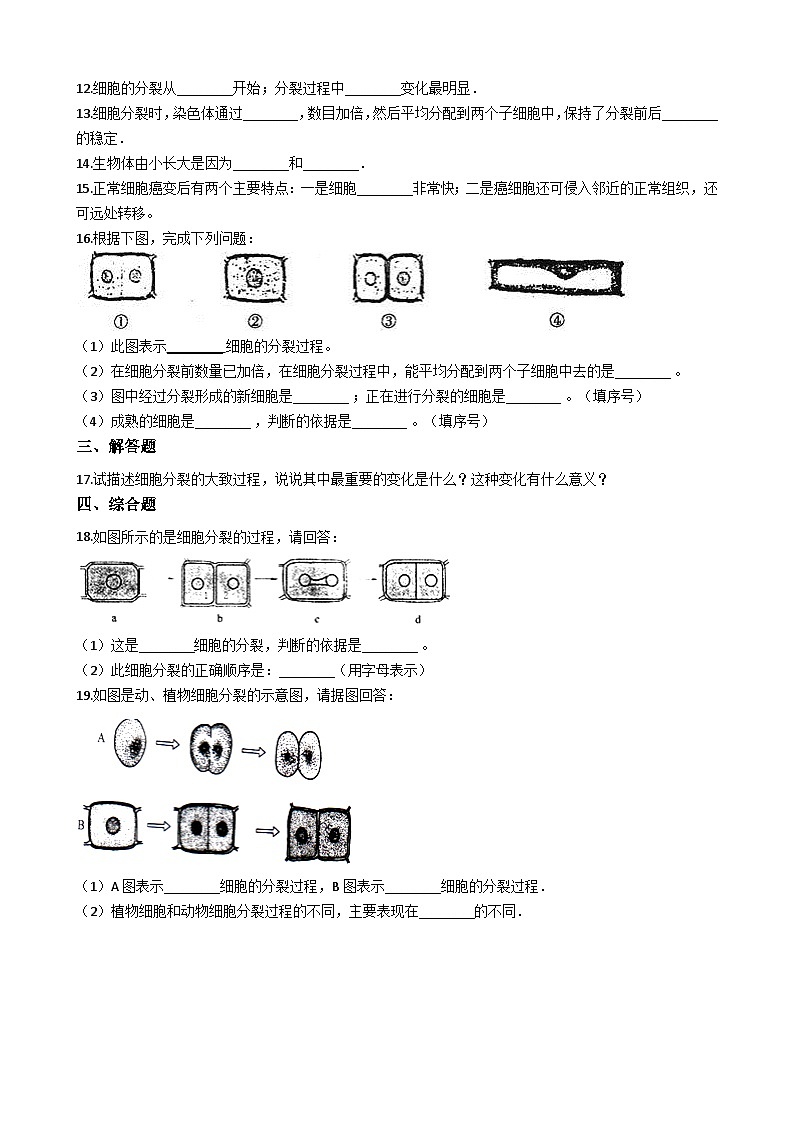 鲁教版（五四制）生物六年级上册 2.3.1 细胞的分裂 同步测试（含解析）02