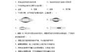 冀少版 初中生物 八年级上册 第4单元 第1章　动物的运动  (word版含答案） 试卷
