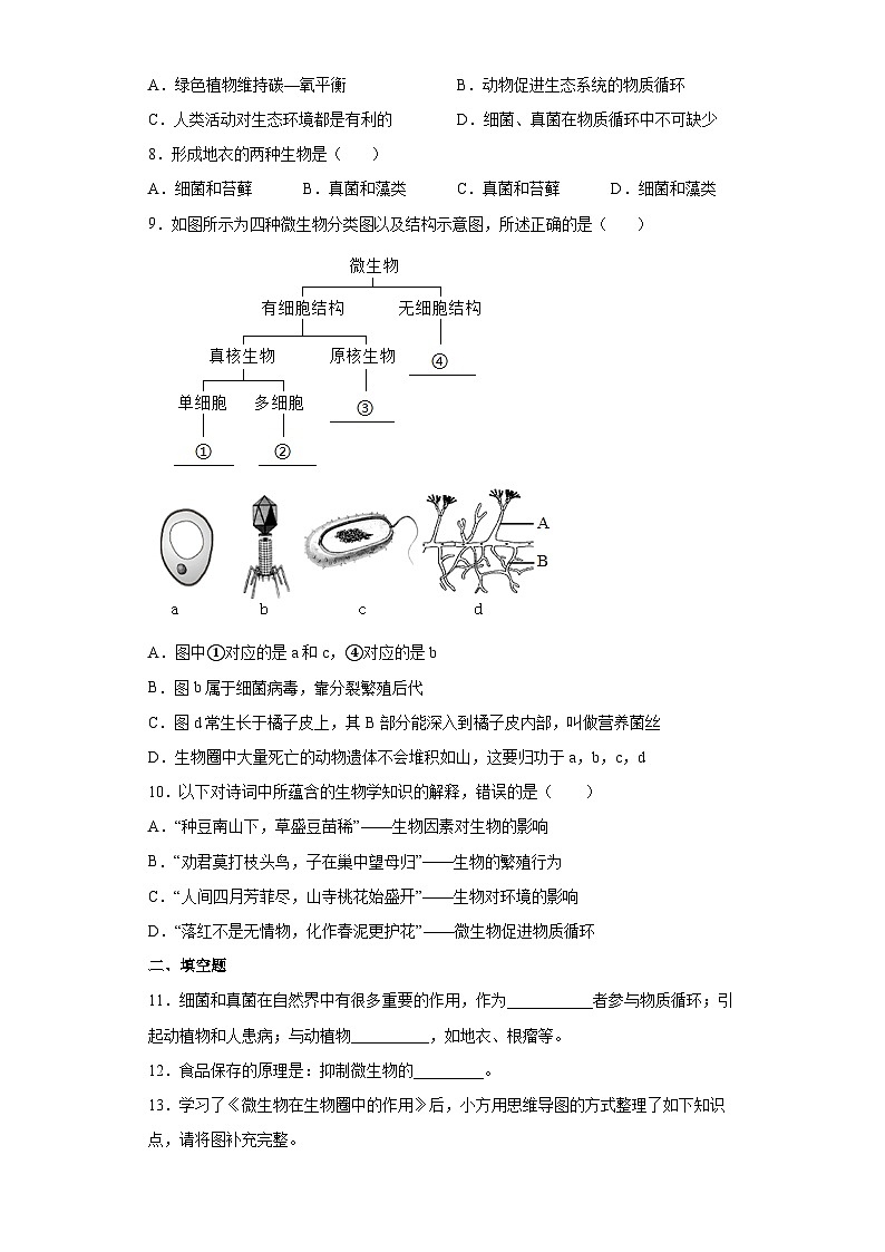 冀少版 初中生物 八年级上册 第五单元 第四章 微生物在生物圈中的作用 提升练习  （word版 含解析）02