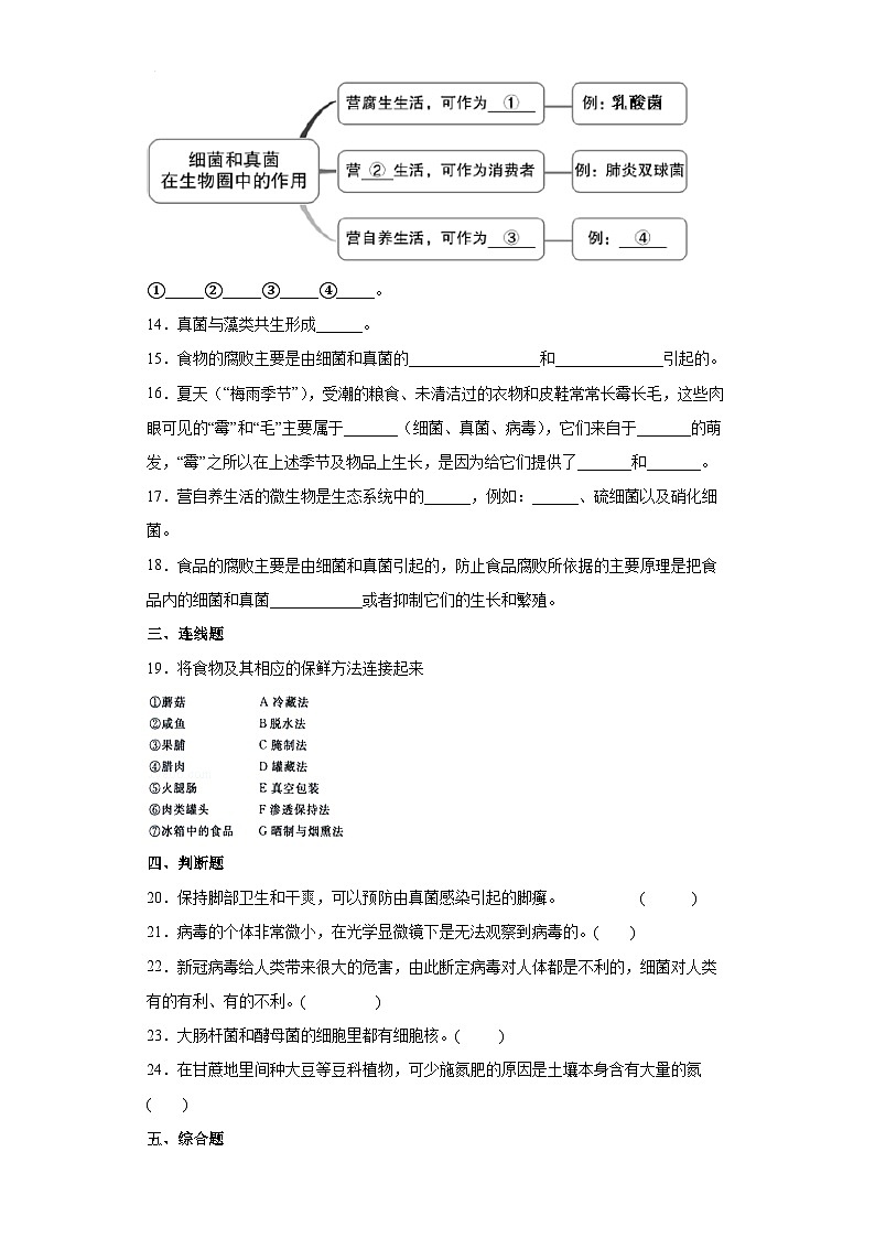 冀少版 初中生物 八年级上册 第五单元 第四章 微生物在生物圈中的作用 提升练习  （word版 含解析）03
