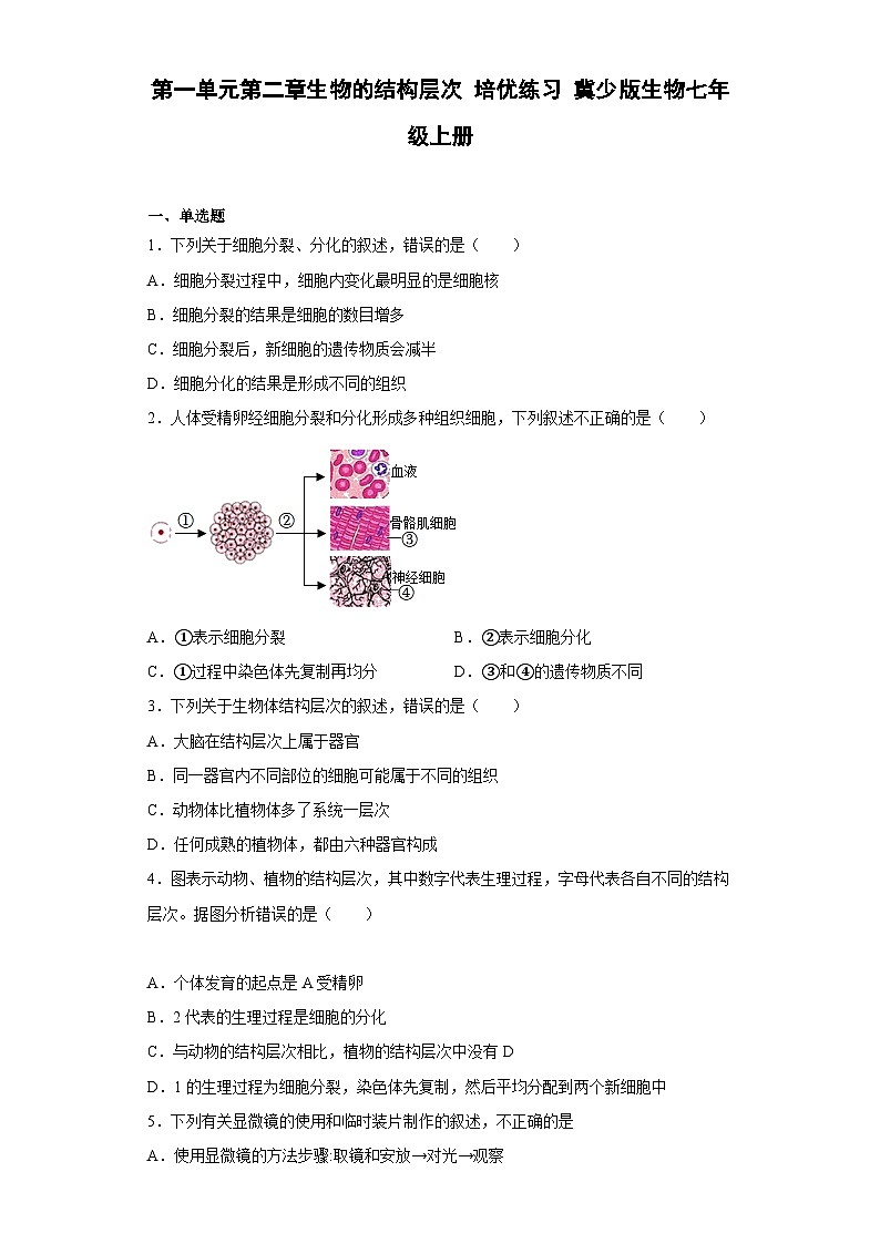 冀少版 初中生物 七年级上册 第一单元第二章生物的结构层次 培优练习（含解析）第1页