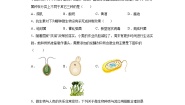 冀少版 生物 八年级上册  第五单元 第三章 日常生活中的生物技术 精品练习   (word版 含解析）