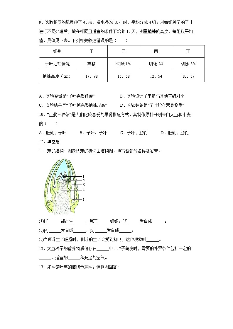 冀少版 生物 八年级上册 第三单元 第一章种子的萌发和芽的发育 提升练习（word版 含解析)03
