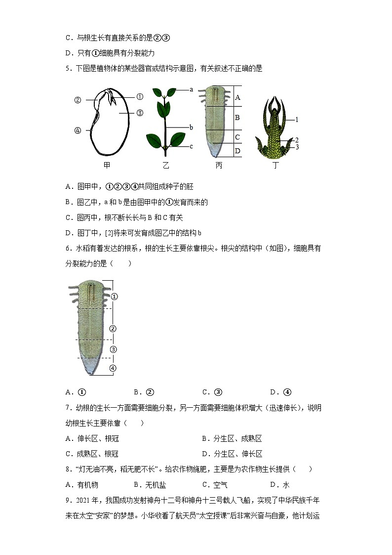 冀少版 生物 八年级上册 第三单元 第二章根的吸收作用 提升练习（word版 含解析）第2页