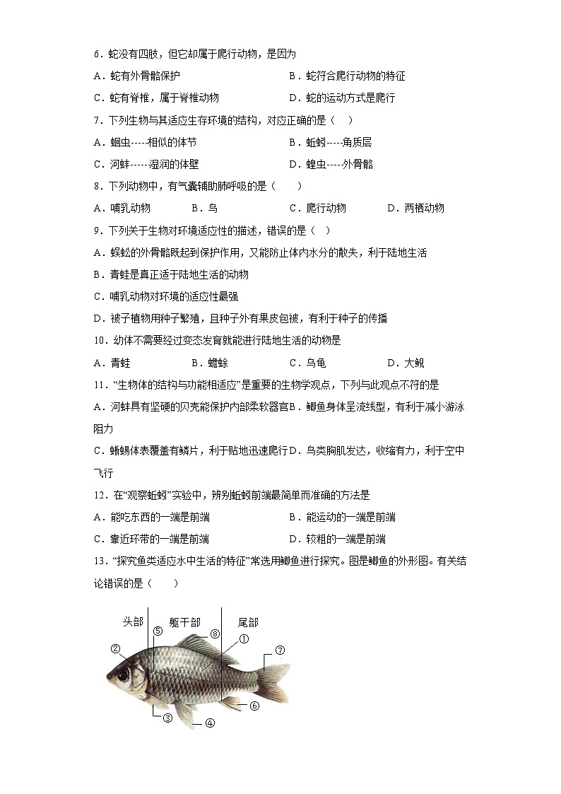 【 冀教版】生物七年级上册 第一单元 第四章 多种多样的动物 培优练习（含答案）02