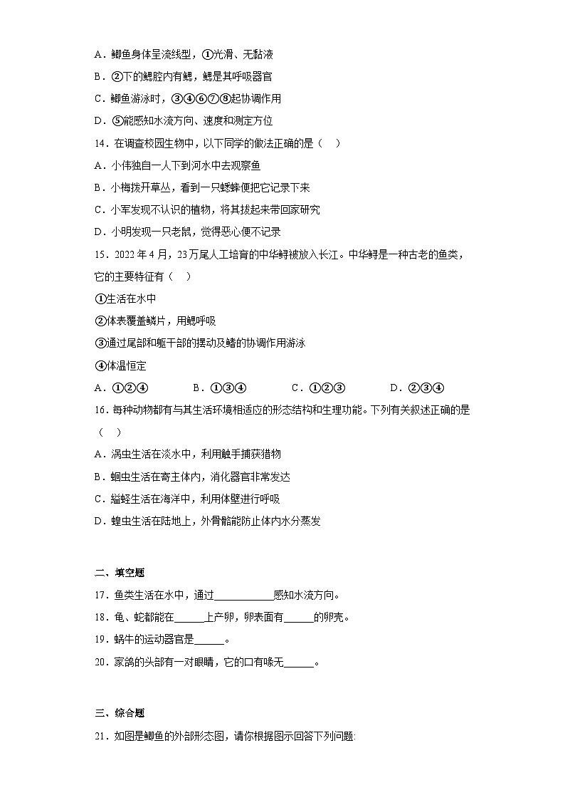 【 冀教版】生物七年级上册 第一单元 第四章 多种多样的动物 培优练习（含答案）03