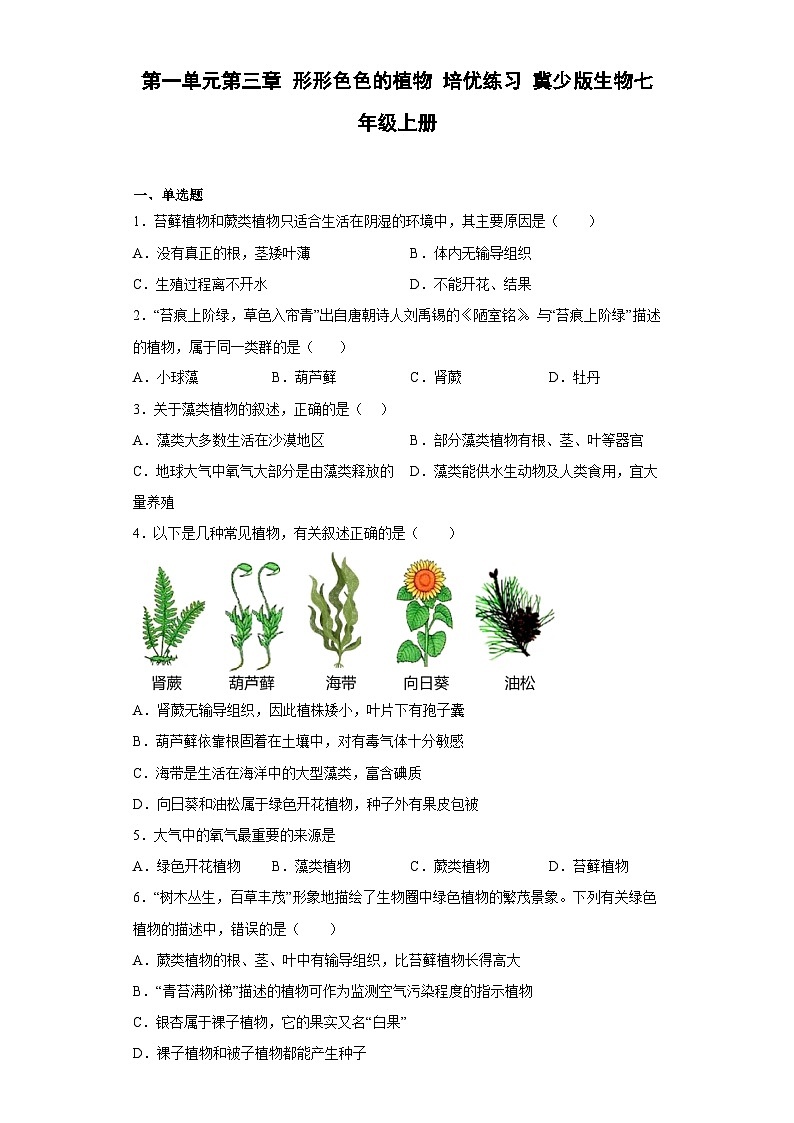 【 冀教版】生物七年级上册 第一单元第三章 形形色色的植物 培优练习（含答案）01