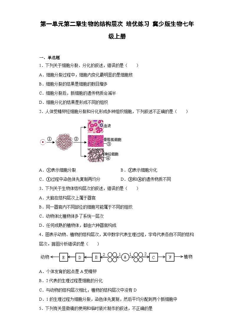 【 冀教版】生物七年级上册 第一单元第二章生物的结构层次 培优练习（含解析）第1页