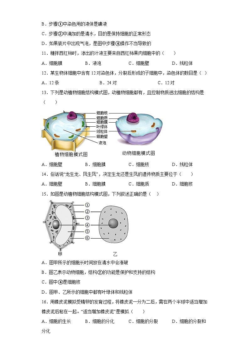 【 冀教版】生物七年级上册 第一单元第二章生物的结构层次 培优练习（含解析）第3页