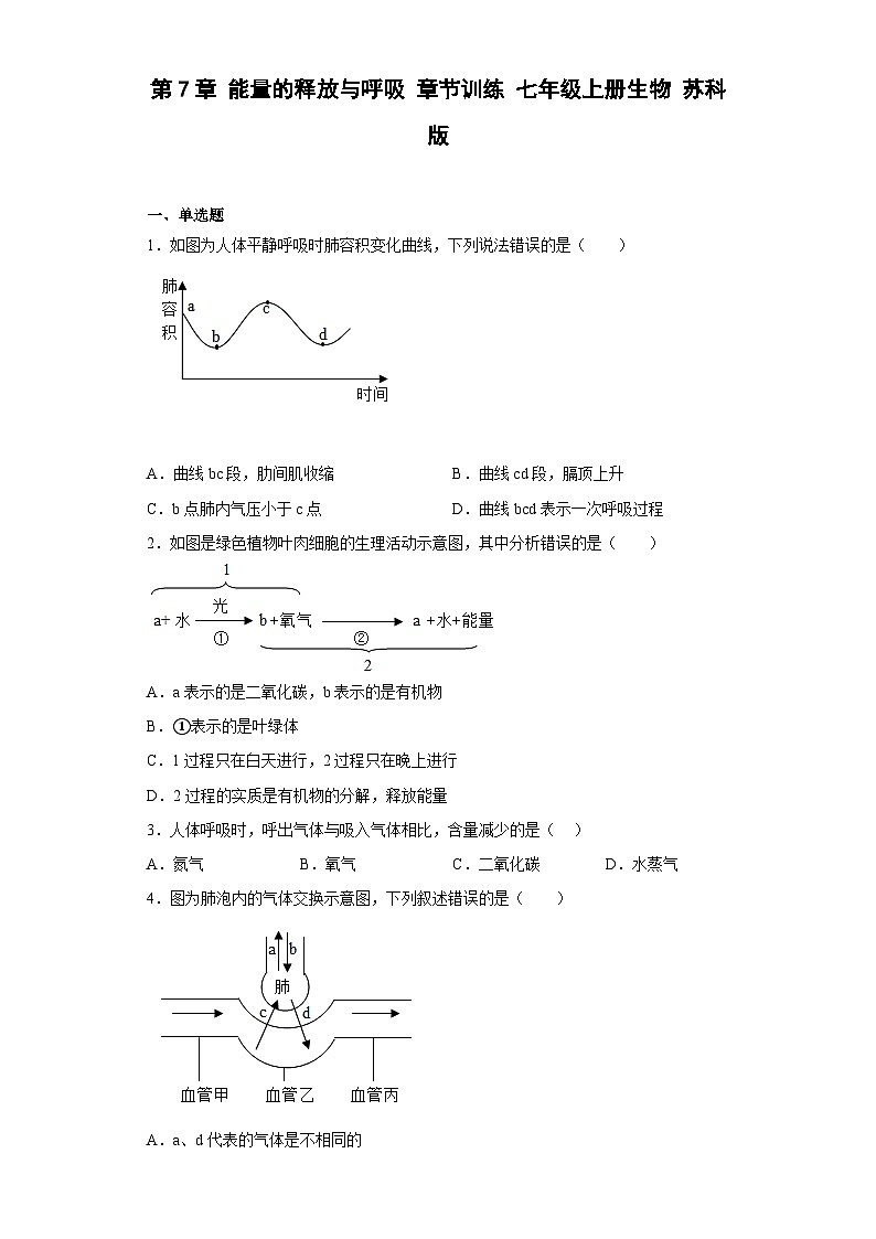 苏科版 生物 七年级上册 第7章 能量的释放与呼吸 章节训练（含答案）01