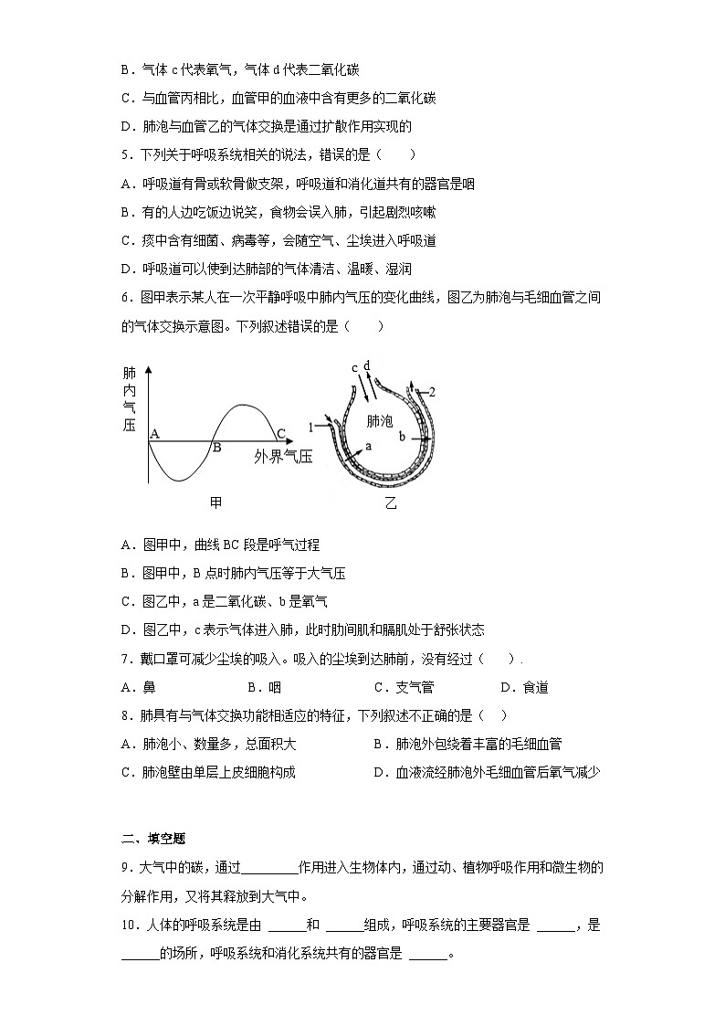 苏科版 生物 七年级上册 第7章 能量的释放与呼吸 章节训练（含答案）02
