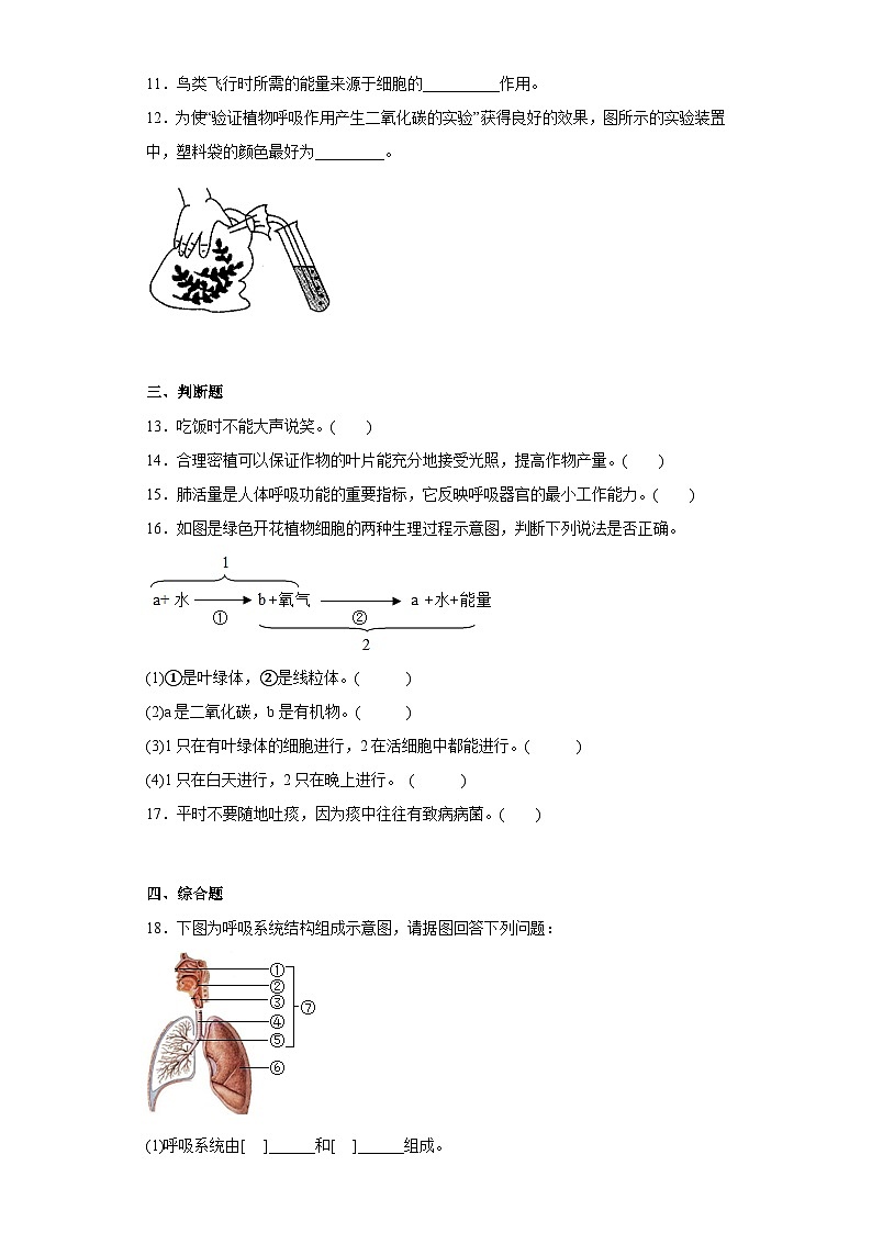 苏科版 生物 七年级上册 第7章 能量的释放与呼吸 章节训练（含答案）03
