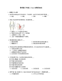 八年级上册第七单元 生物圈中的动物第二章 动物的运动和行为第一节 动物的运动优秀巩固练习