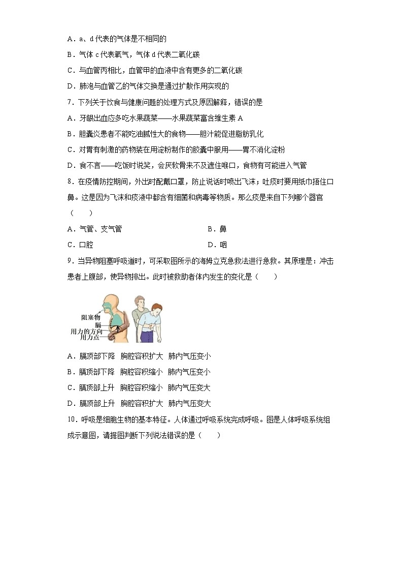 【鲁科版（五四学制）】 生物 七年级上册 第三章人体的呼吸 提升训练 （word版 含答案）02