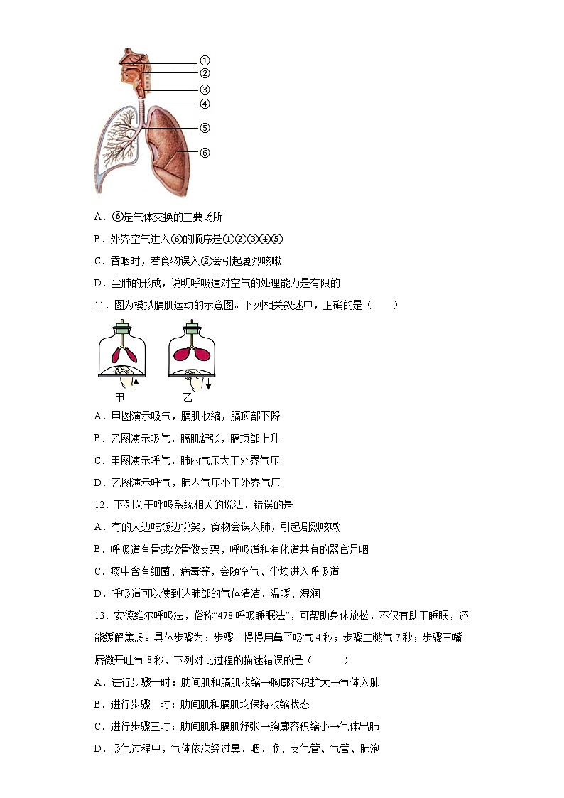 【鲁科版（五四学制）】 生物 七年级上册 第三章人体的呼吸 提升训练 （word版 含答案）03