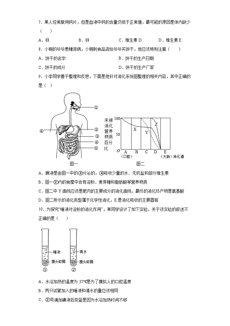 【鲁科版（五四学制）】 生物 七年级上册 第二章人体的营养 提升训练 （word版 含答案）02