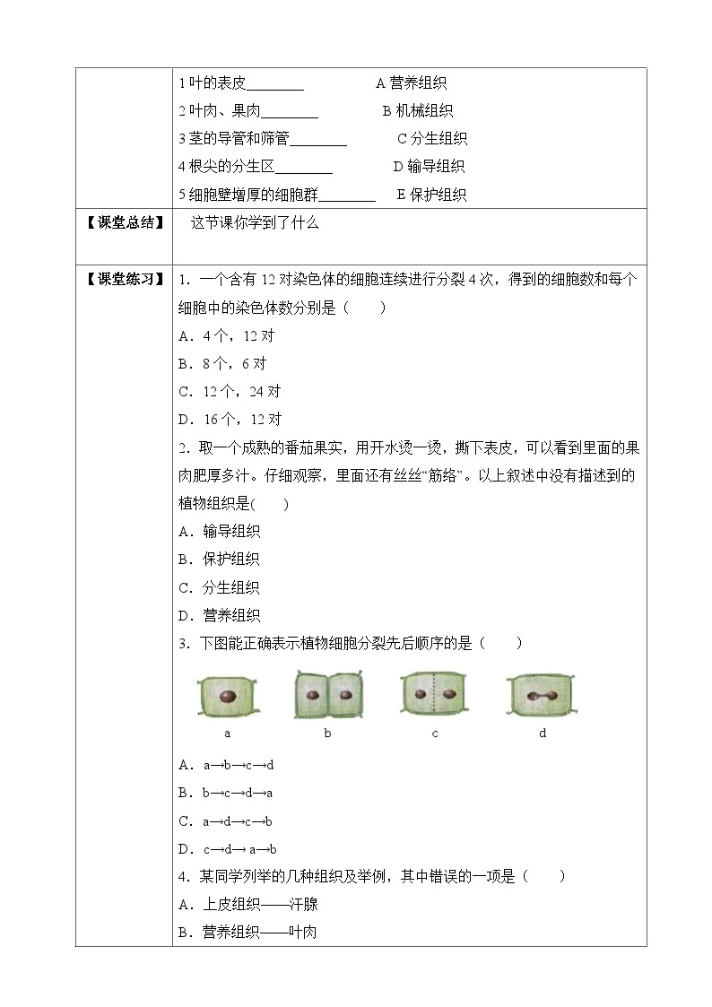 济南版 初中生物 七年级上册 1.2.2 细胞的分裂与分化-同步学案（含答案）02