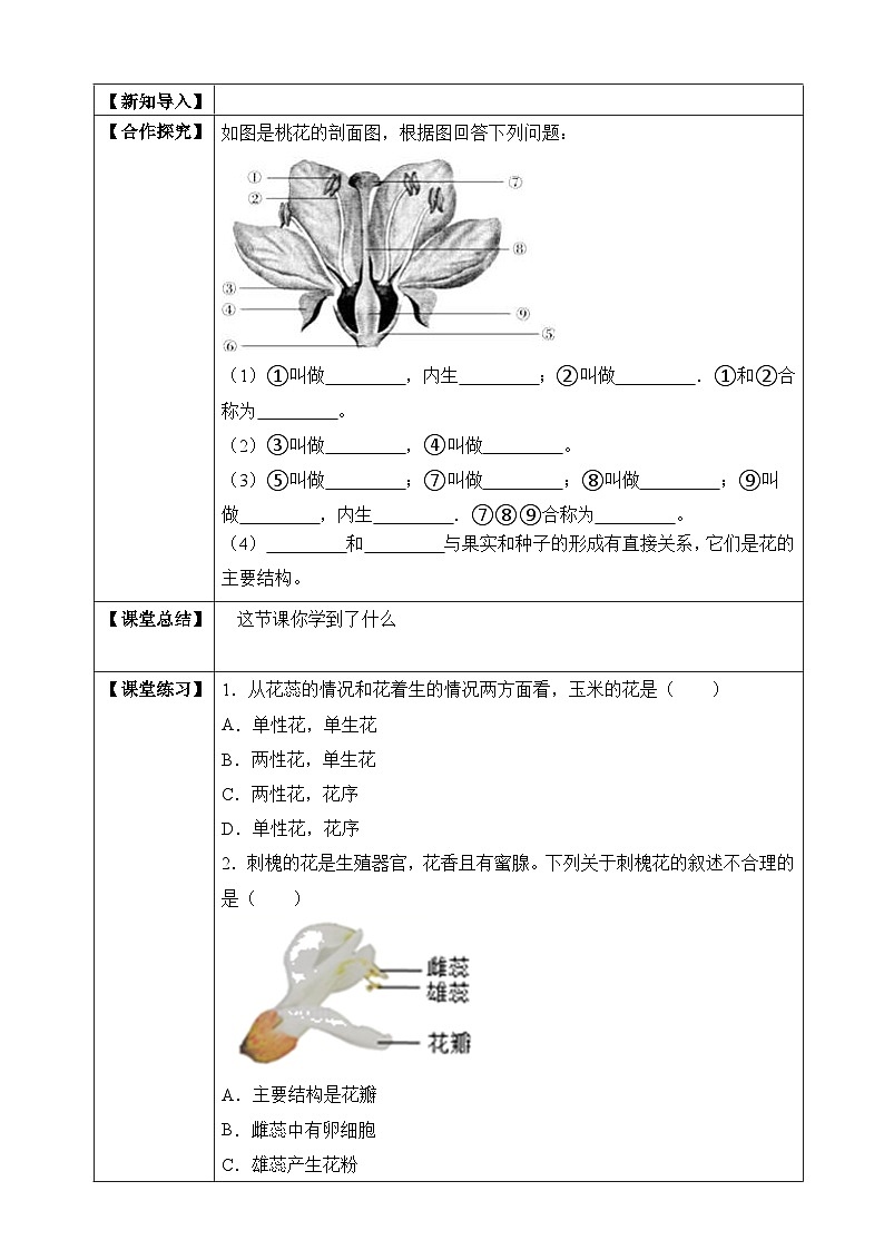 济南版 初中生物 八年级上册 4.1.1 花的结构和类型 学案（含答案）02