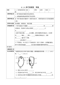 初中生物济南版八年级上册第四节 种子的萌发优质导学案