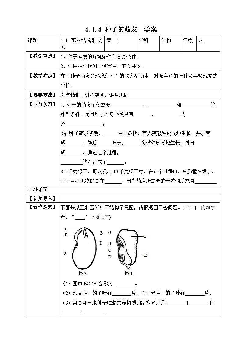 济南版 初中生物 八年级上册 4.1.4 种子的萌发 学案（含答案）第1页
