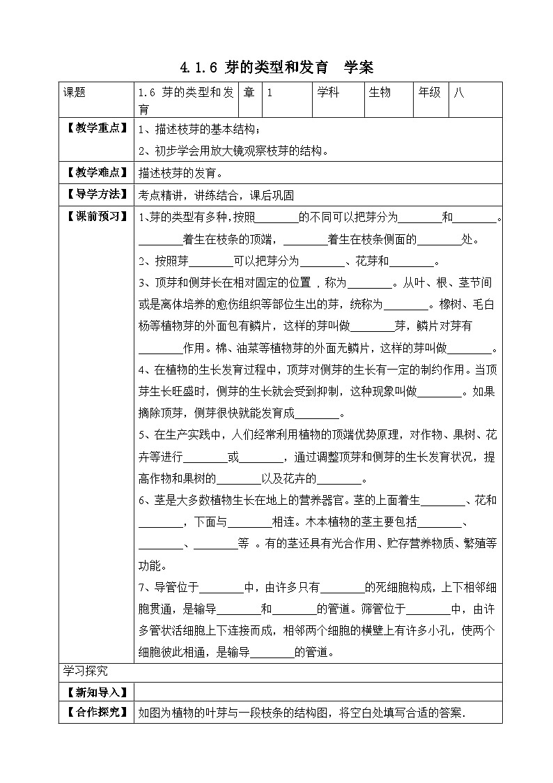 济南版 初中生物 八年级上册 4.1.6 芽的类型和发育 学案（含答案）01