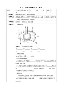 济南版八年级上册第三节 鸟的生殖和发育优质学案